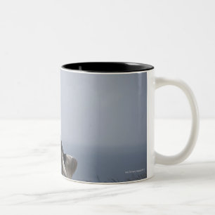 Schwarzweiss-SpringerSpaniel, der mit spielt Zweifarbige Tasse
