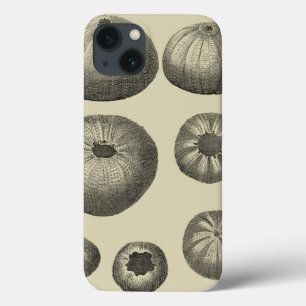Schwarzweiss-Starfish Case-Mate iPhone Hülle