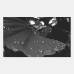 Schwarzweiß-Tau auf Blatt Rechteckiger Aufkleber