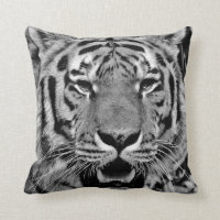 Schwarzweiss-Tiger-Gesicht