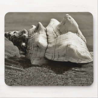 Schwarzweiss-Tritonshorn-Muschel Mousepad