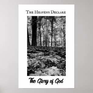 Schwarzweiß-Wald-Herrlichkeit-Gottes-Plakat Poster