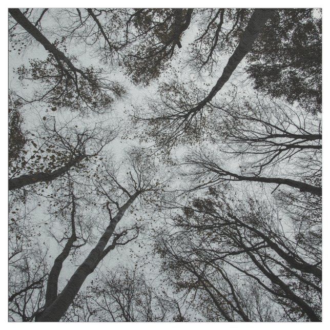 Schwarzweiss-Walddecke Stoff (Muster)