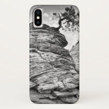 Schwarzweiss-Zion Kunst-Bonsais-Baum