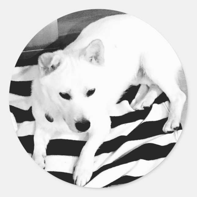 Schwarzweißaufkleber Runder Aufkleber (Vorderseite)