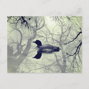 Schwarzweißballon auf der Postkarte des Sees