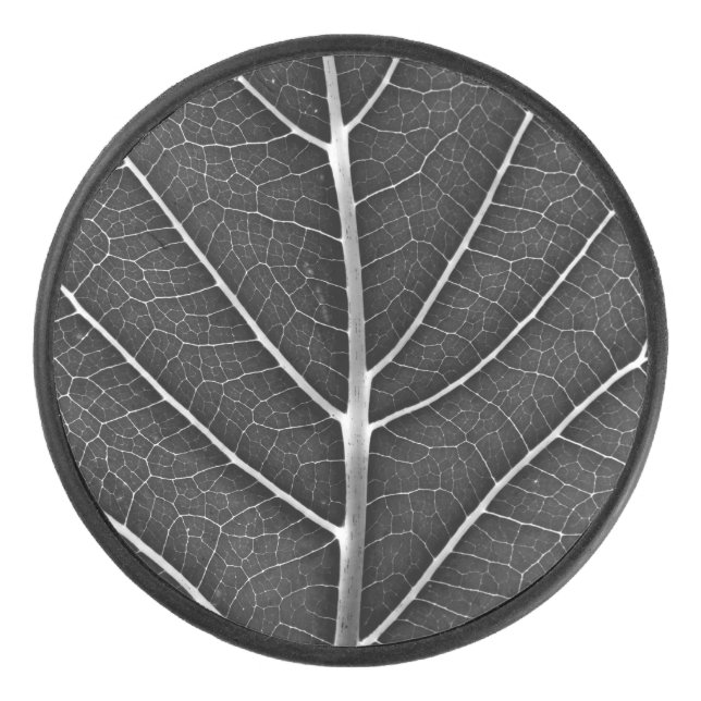 Schwarzweißblatt nah eishockey puck (Vorderseite)