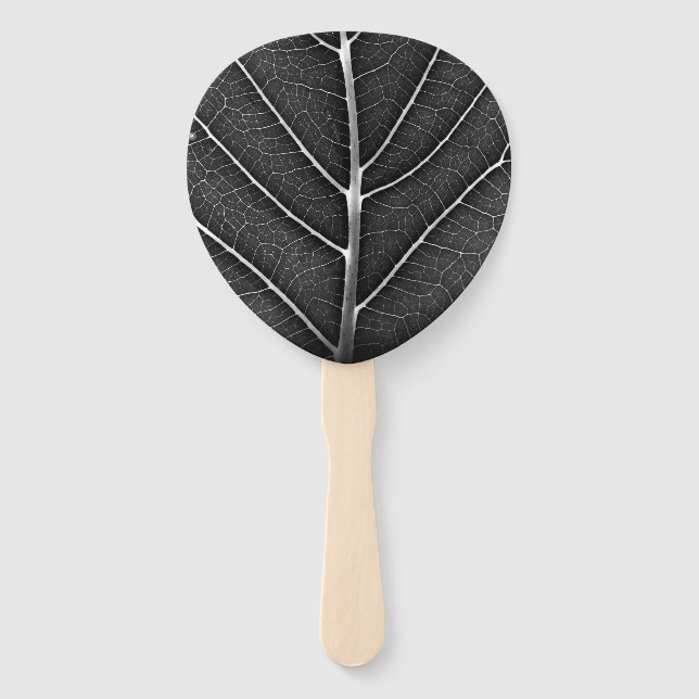 Schwarzweißblatt nah fächer (Vorderseite)