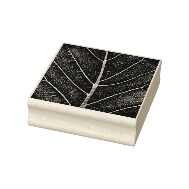 Schwarzweißblatt nah gummistempel (Stempel)
