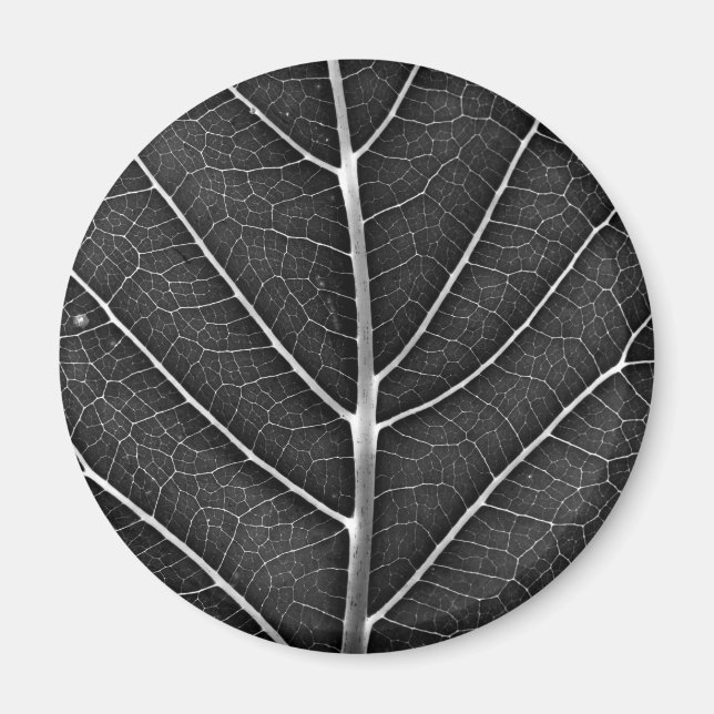 Schwarzweißblatt nah magnet (Vorne)