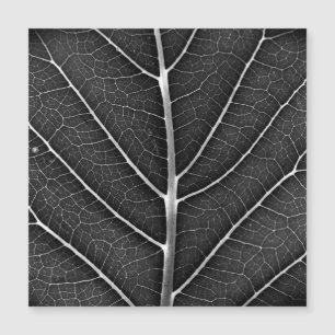 Schwarzweißblatt nah magnetkarte