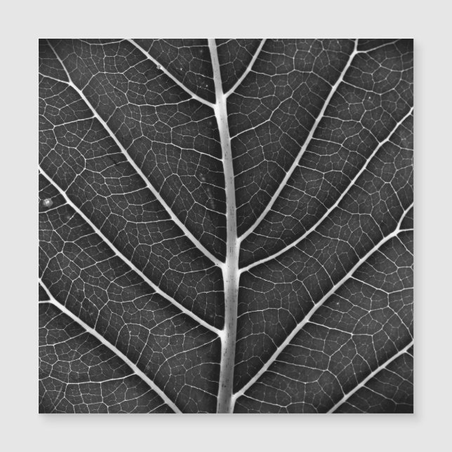 Schwarzweißblatt nah magnetkarte (Vorderseite)