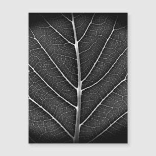Schwarzweißblatt nah magnetkarte