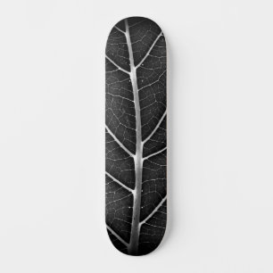 Schwarzweißblatt nah skateboard