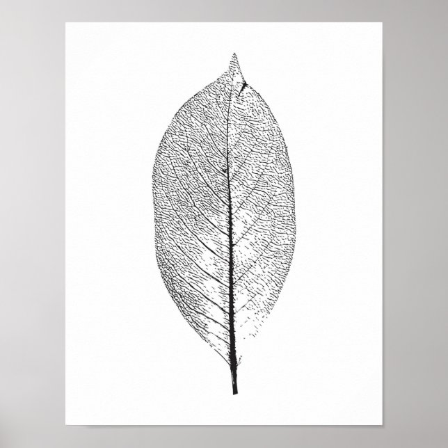 Schwarzweißblatt-Poster Poster (Vorne)