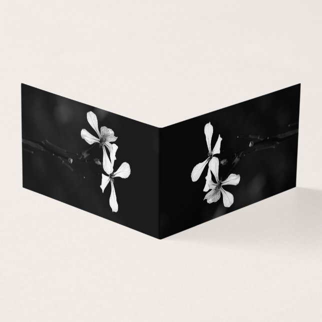 Schwarzweißblumen (Vorderseite)