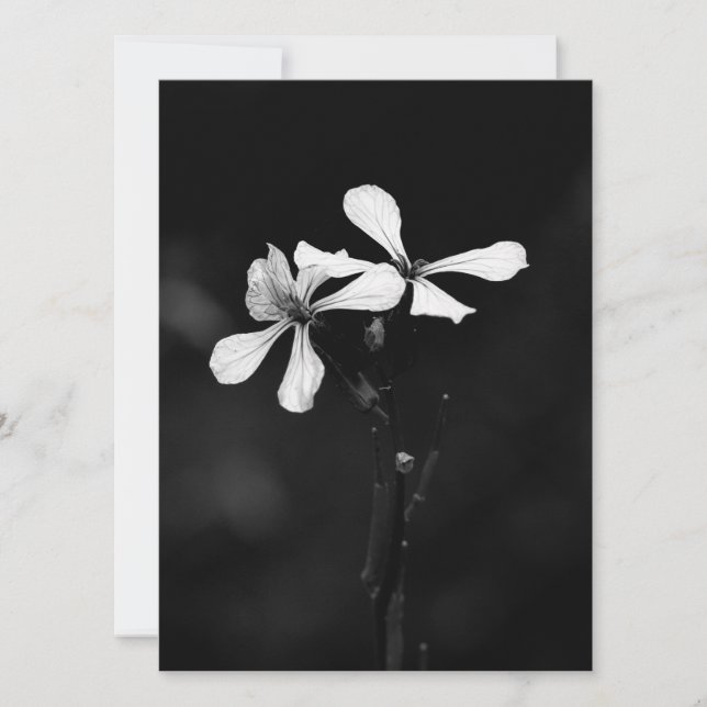 Schwarzweißblumen Feiertagskarte (Vorderseite)