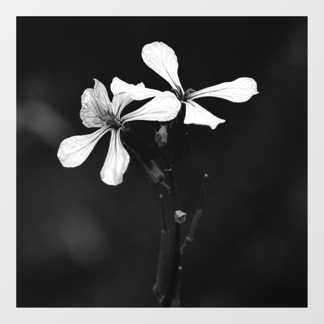 Schwarzweißblumen Fensteraufkleber (Blatt)