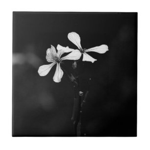 Schwarzweißblumen Fliese