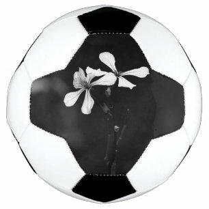 Schwarzweißblumen Fußball