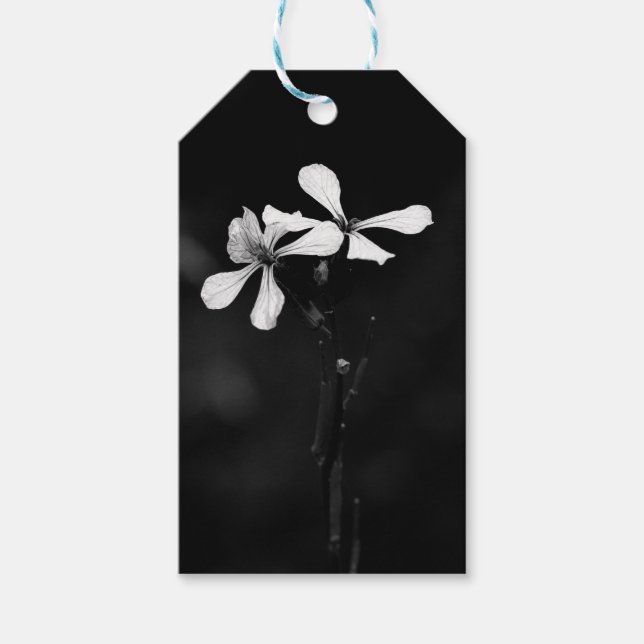 Schwarzweißblumen Geschenkanhänger (Vorderseite)