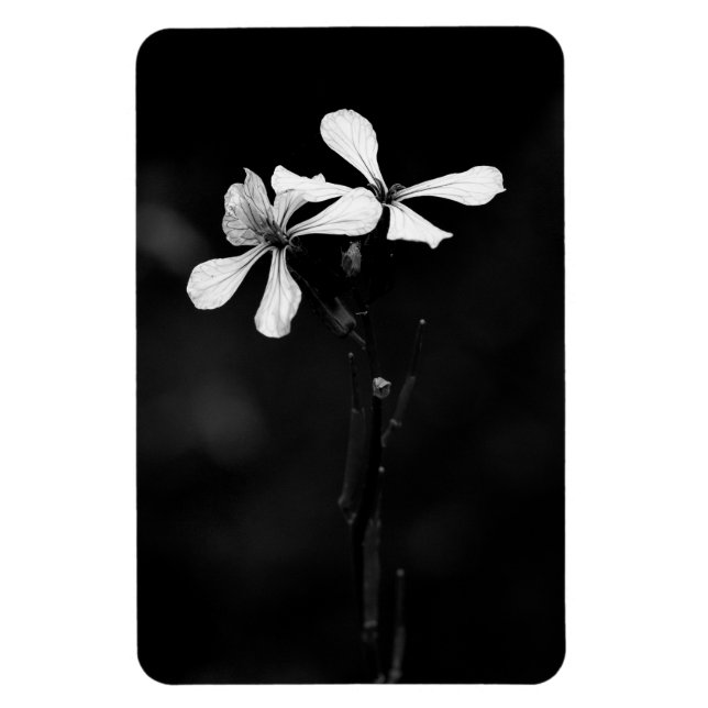 Schwarzweißblumen Magnet (Vertikal)