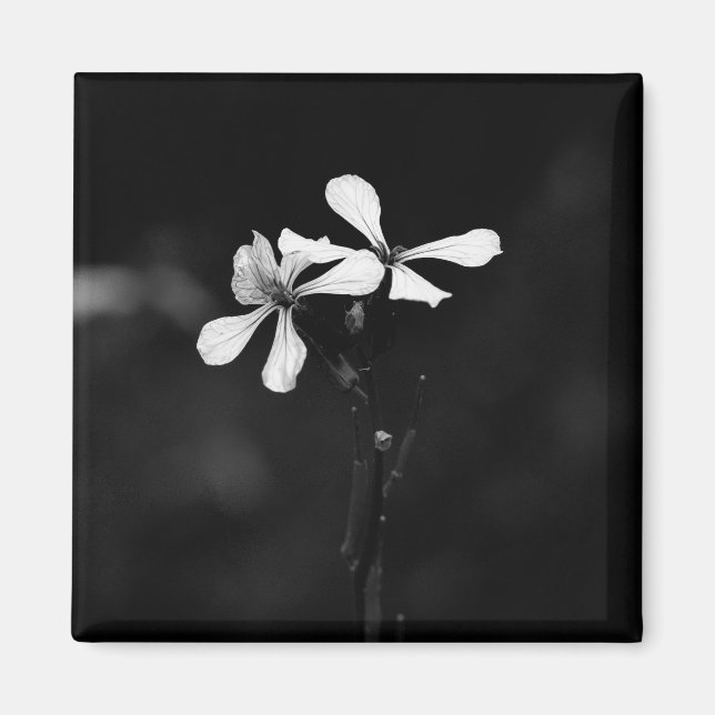 Schwarzweißblumen Magnet (Vorne)