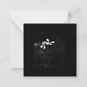 Schwarzweißblumen Mitteilungskarte