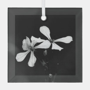 Schwarzweißblumen Ornament Aus Glas