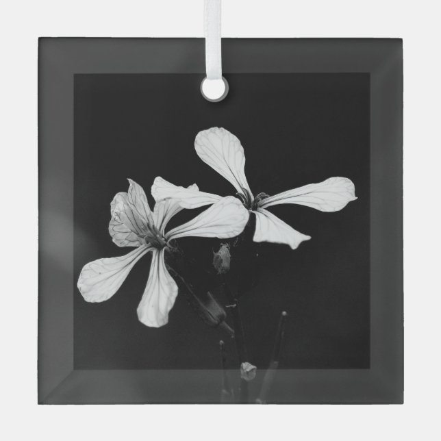 Schwarzweißblumen Ornament Aus Glas (Vorderseite)