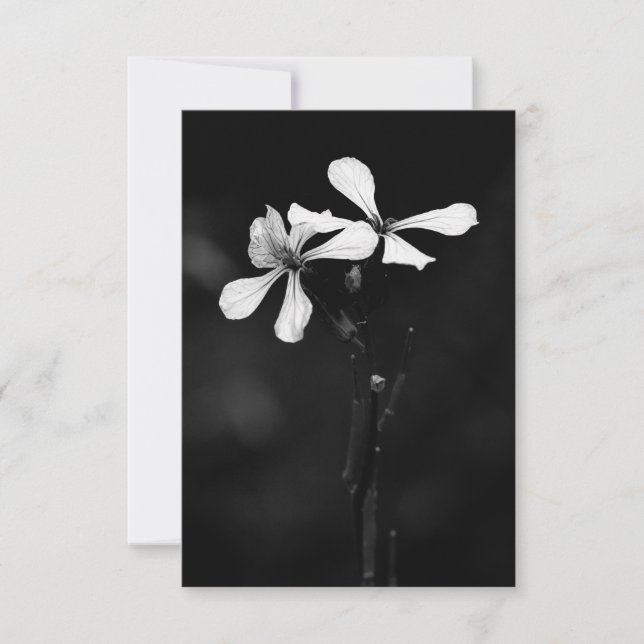 Schwarzweißblumen RSVP Karte (Vorderseite)