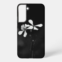 Schwarzweißblumen