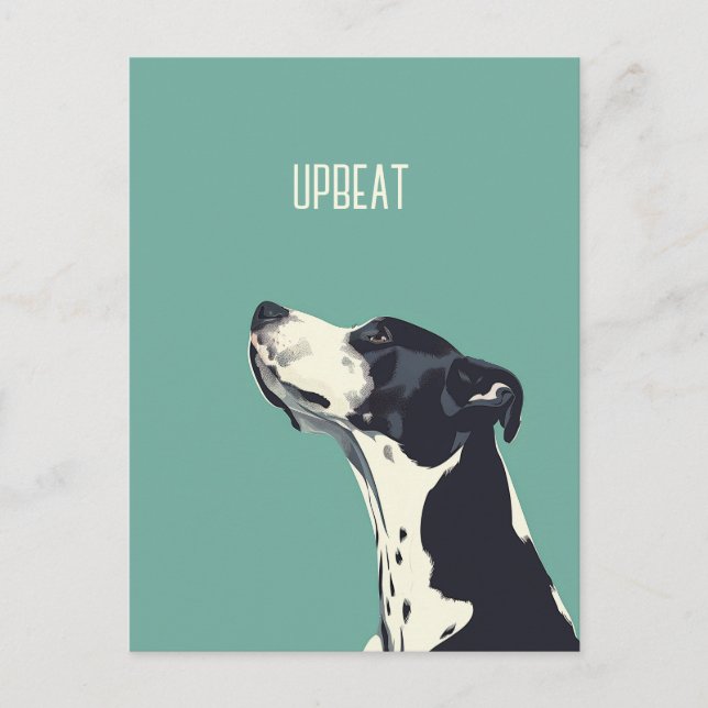 Schwarzweißboxer Postkarte (Vorderseite)