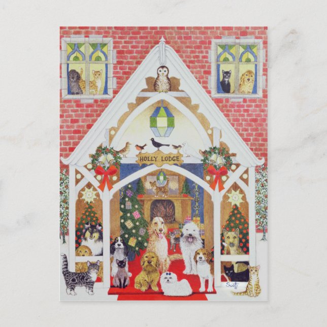 Schwarzweißflüster Postkarte (Vorderseite)