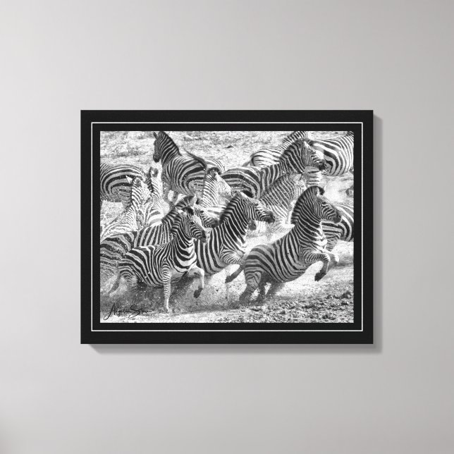 Schwarzweißfotografie Kunst Zebra Leinwanddruck (Vorderseite)