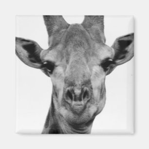 Schwarzweißfotografie Magnet