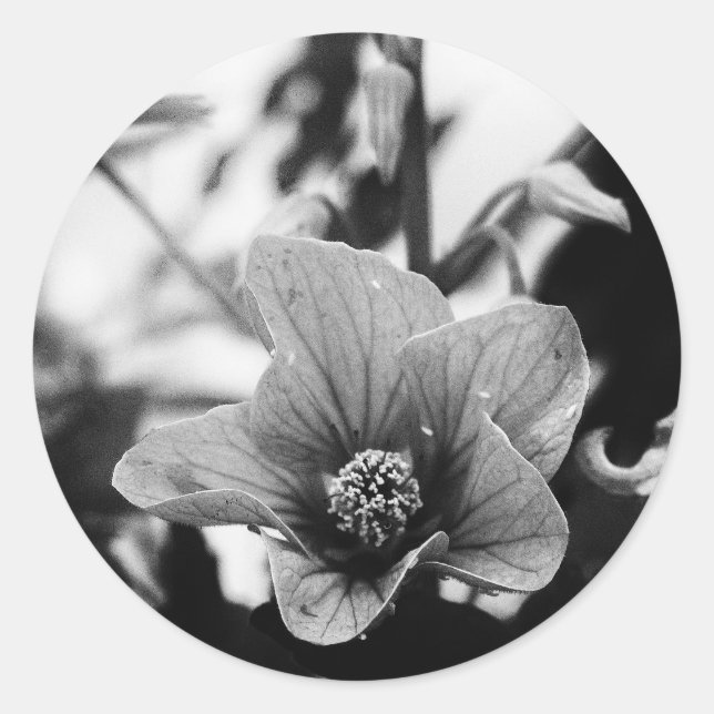 Schwarzweißfotografie Runder Aufkleber (Vorderseite)