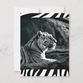 Schwarzweißiger Tiger Feiertagskarte