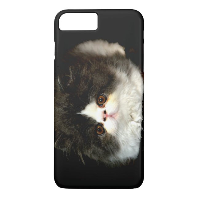 Schwarzweißkätzchen Case-Mate iPhone Hülle (Rückseite)