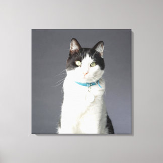 Schwarzweißkatze Leinwanddruck