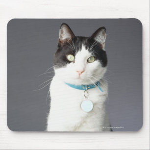 Schwarzweißkatze Mousepad