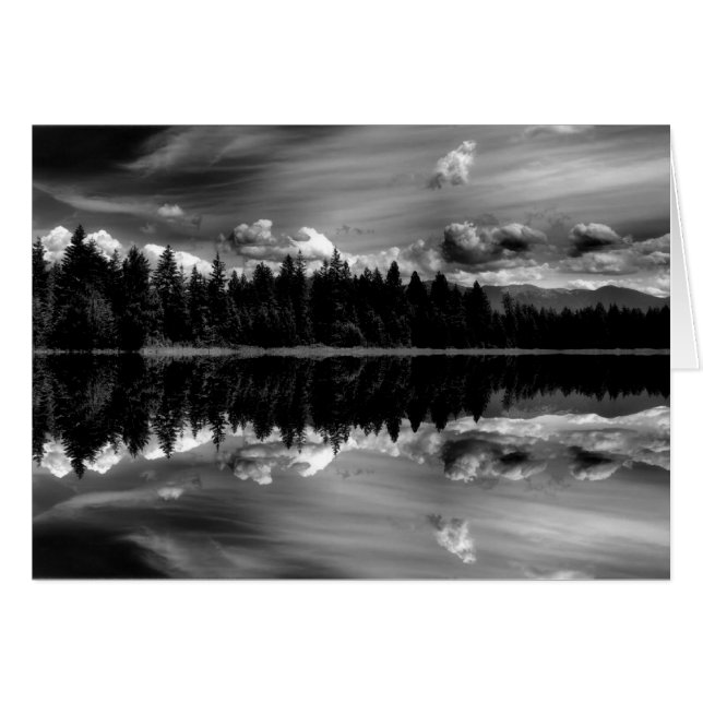 Schwarzweißreflektionskarte (Vorderseite (Horizontal))
