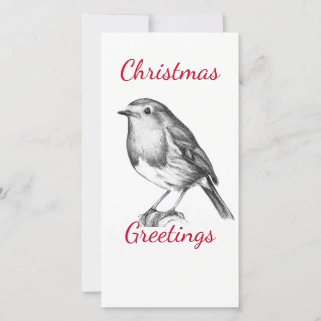 Schwarzweißrobin (Vorderseite)