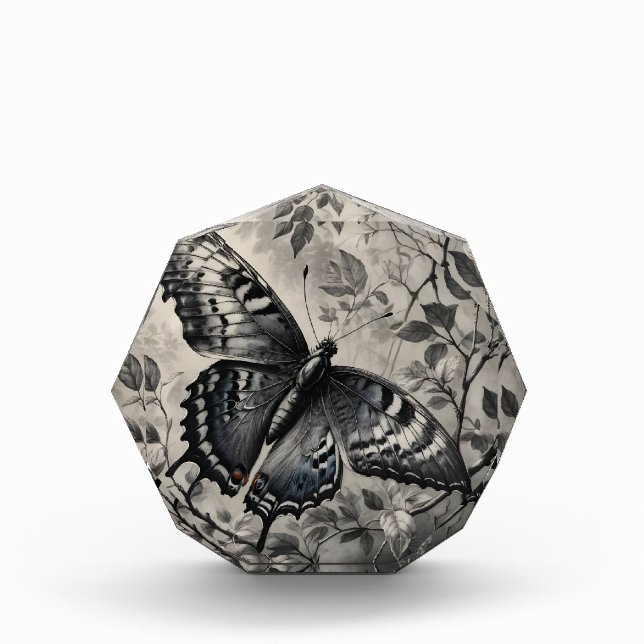 Schwarzweißschmetterling zeichnend fotoblock (Vorderseite)