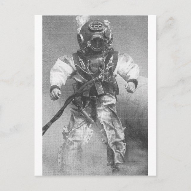 Schwarzweißtaucher Postkarte (Vorderseite)