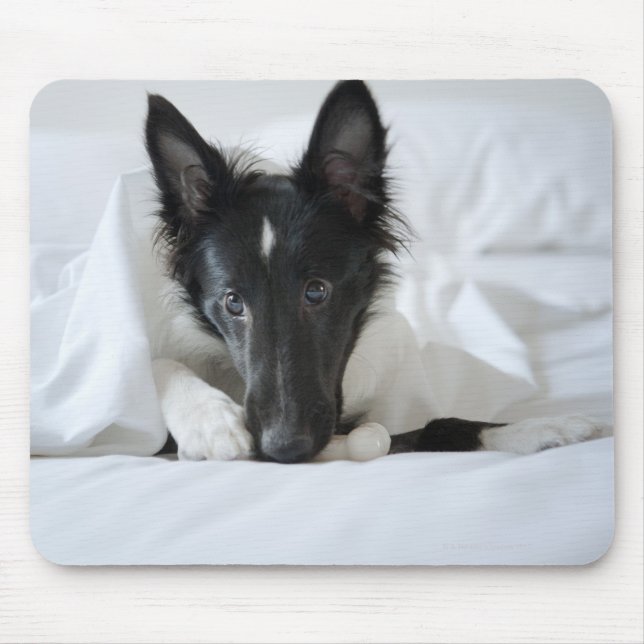 Schwarzweißwelpen im Bett mit Knochen Mousepad (Vorne)