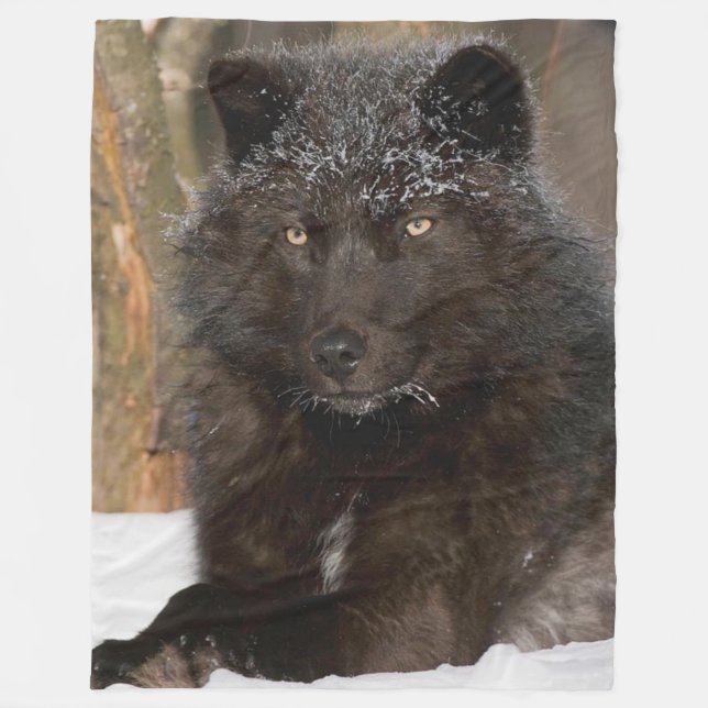 SCHWARZWOLF FLEECEDECKE (Vorderseite)