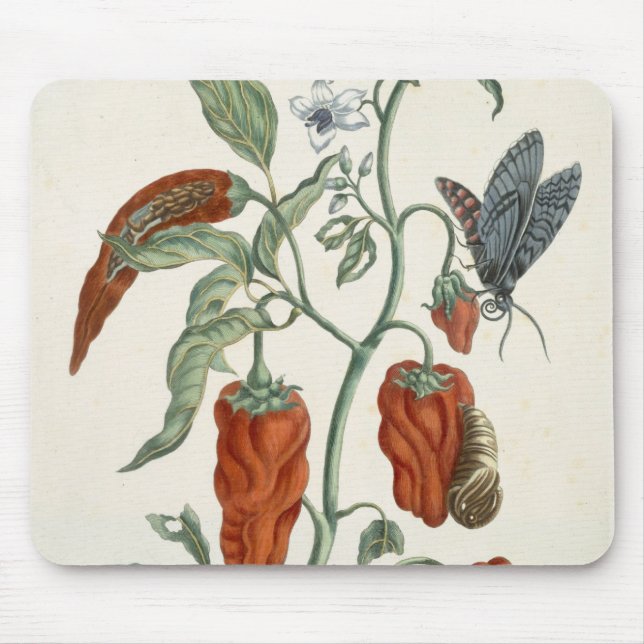 Schwarzwurz, von "einem neugierigen Kräuter", 1782 Mousepad (Vorne)