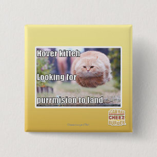 Schwebeflug kitteh button