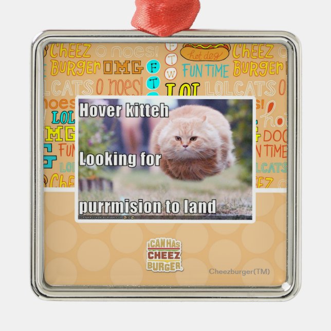 Schwebeflug kitteh silbernes ornament (Vorne)